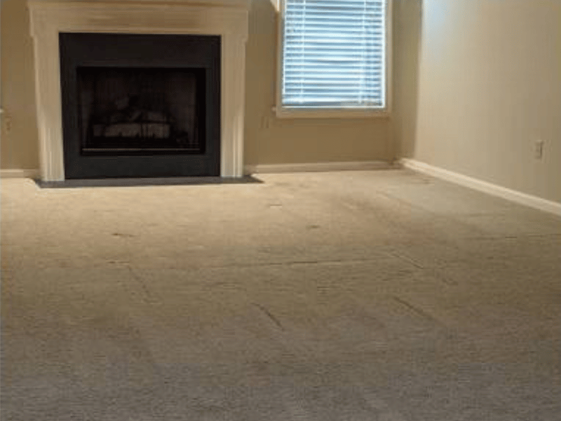 Living room with old carpet before renovation